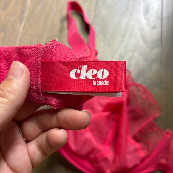 Cleo by Panache Pink Lace Bra - Picture 5 of 5